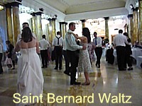 Saint Bernard Waltz